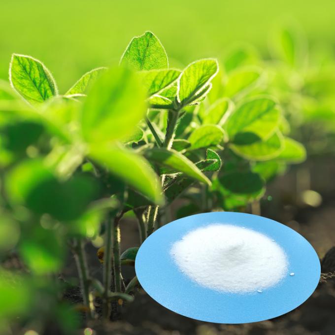Nitrato de potássio branco do adubo de Crystal State Ginger Plant Nutrition do pó do Dr. Aid Low Moq